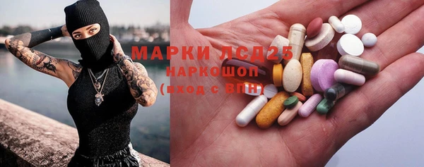 молекула духа Богданович