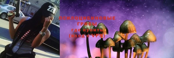 MESCALINE Белокуриха