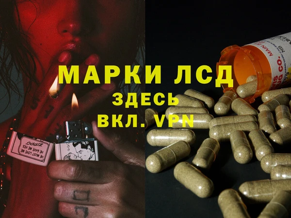 PSILOCYBIN Богородицк