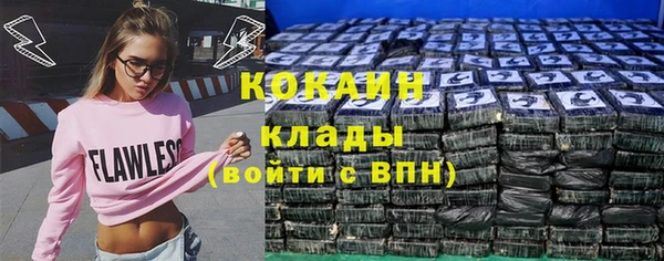 молекула духа Богданович