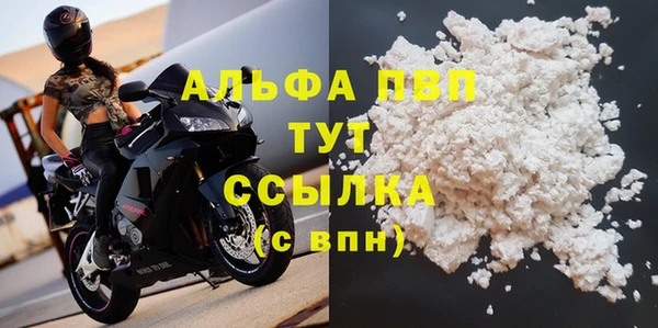PSILOCYBIN Богородицк
