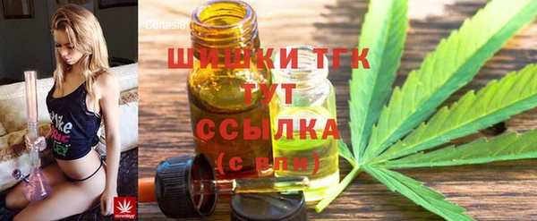 тгк Беломорск