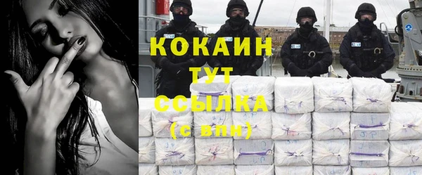 молекула духа Белоозёрский