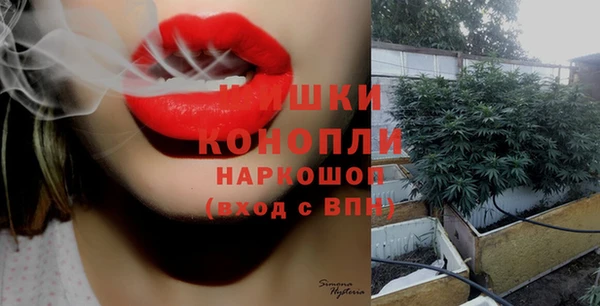 молекула духа Богданович