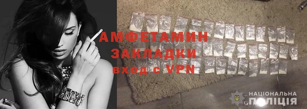 молекула духа Богданович