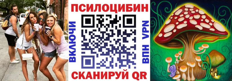Галлюциногенные грибы мицелий  магазин продажи   Светлый 
